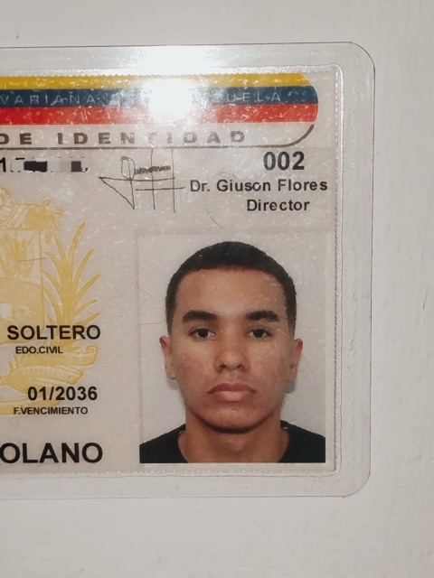 Luis Felipe Werner