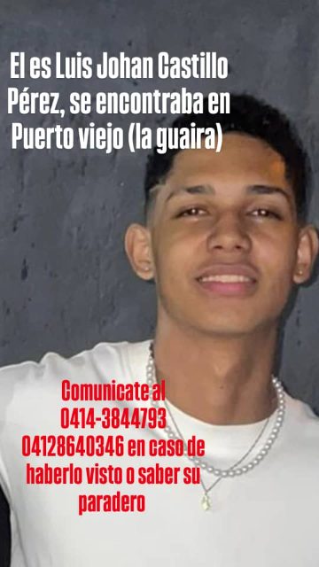 Luis Johan castillo perez