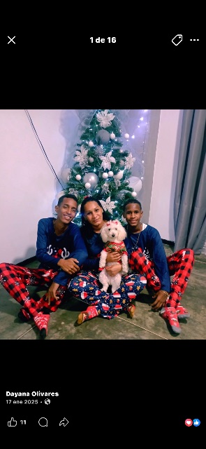 Dayana olviares