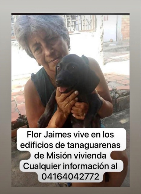Flor jaime