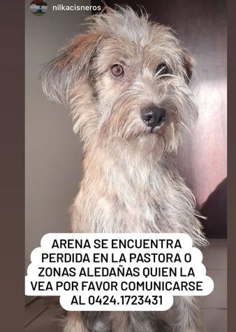 Arena