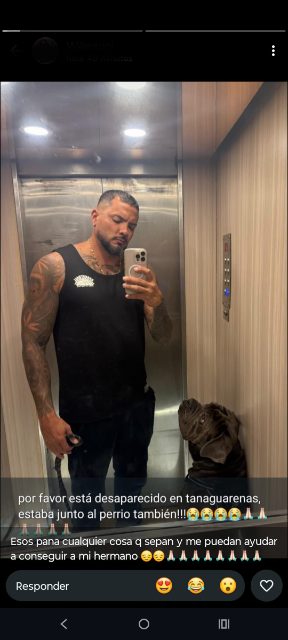 Gregory almeida