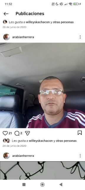 Arabian herrera