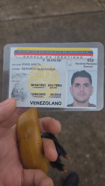 Gerardo Alexander Vivas Mayta