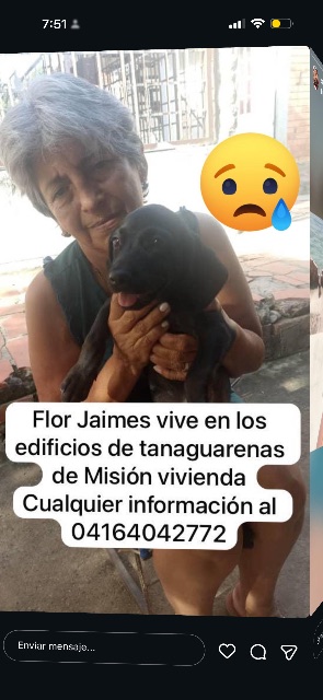 Flor Jaimes