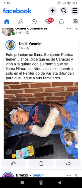 Benjamín petrica busca a su mamá