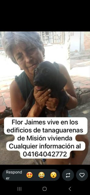 Flor jaime